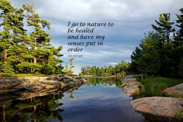 Go To Nature by Deb Oppermann